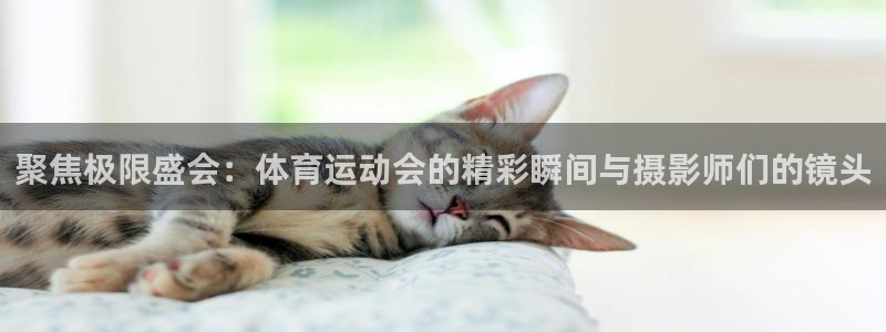 乐视体育CBA集锦：聚焦极限盛会：体育运动会的精彩瞬间与摄影师们的镜头