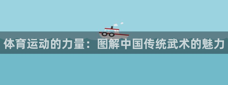 乐视体育下载：体育运动的力量：图解中国传统武术的魅力