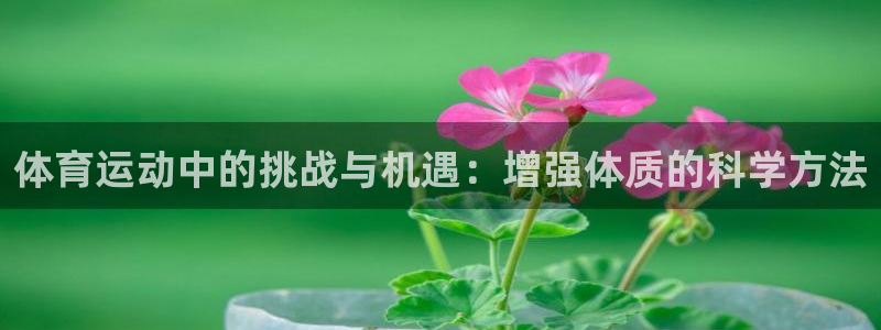 乐视体育股票：体育运动中的挑战与机遇：增强体质的科学方法