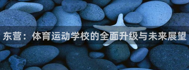 乐视体育F1：东营：体育运动学校的全面升级与未来展望