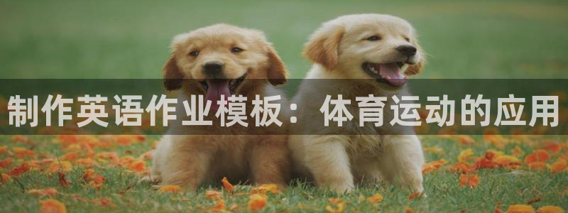 乐视体育还有吗：制作英语作业模板：体育运动的应用