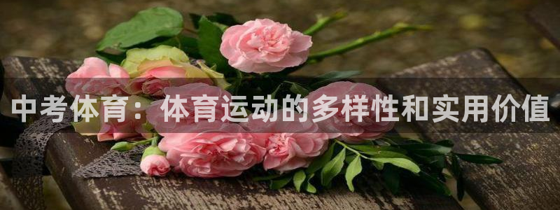 乐视体育下载官方下载：中考体育：体育运动的多样性和实用价值