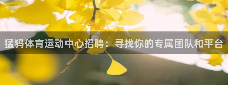 乐视体育会员刘建宏：猛犸体育运动中心招聘：寻找你的专属团队和平台