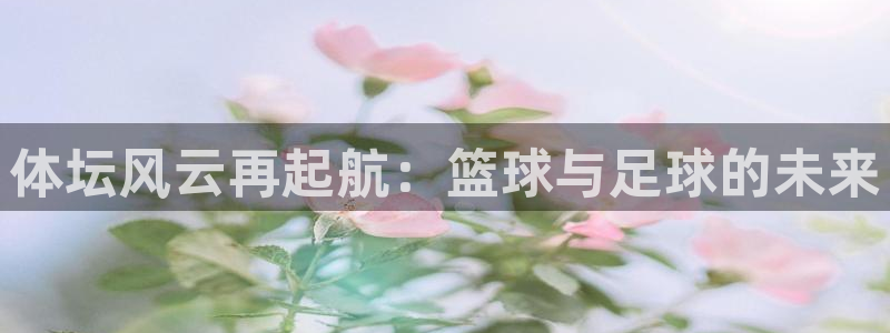 乐视体育平台：体坛风云再起航：篮球与足球的未来