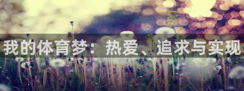 乐视体育股票：我的体育梦：热爱、追求与实现