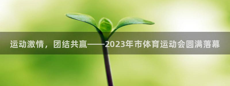 乐视体育下载：运动激情，团结共赢——2023年市体育运动会圆满落幕