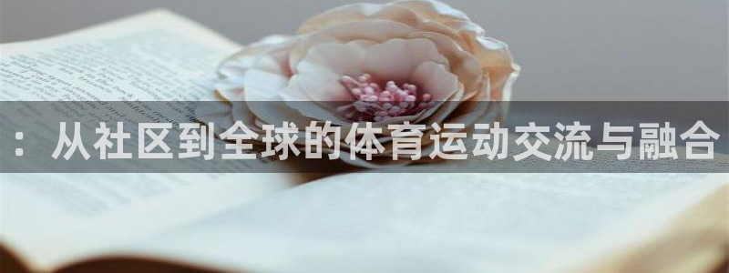 乐视体育人机大战李世石第一局：：从社区到全球的体育运动交流与融合