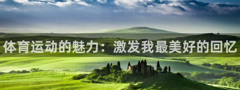 乐视体育免费现场直播在线看：体育运动的魅力：激发我最美好的回忆