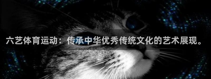 乐视体育免费现场直播在线看：六艺体育运动：传承中华优秀传统文化的艺术展现。